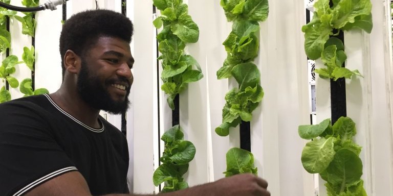 Man works with plants